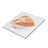Seashell Tegeltje (Zijkant)