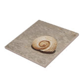 SeaShell Tegeltje (Zijkant)