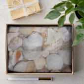 Seashell Tissuepapier (Geschenk)