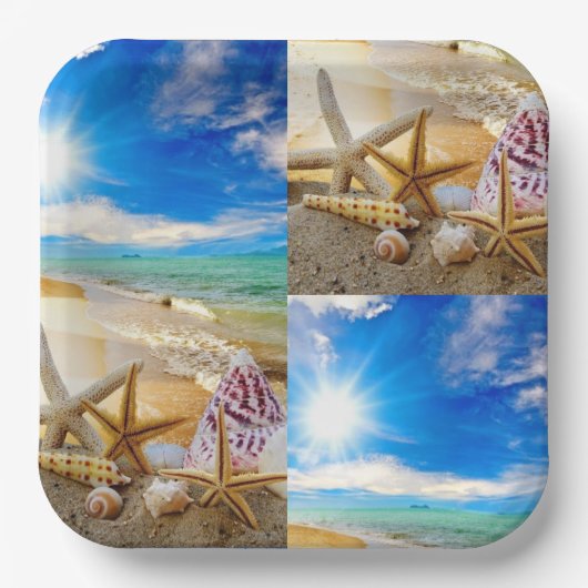 Seashell vierkant Papier Bord (Voorkant)