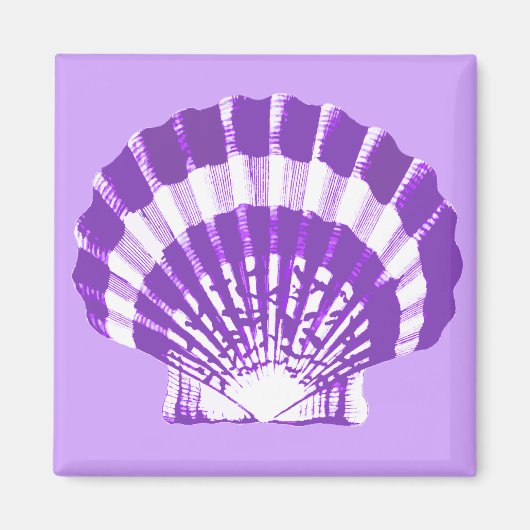 Seashell - violet en wit magneet (Voorkant)
