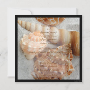 seashell white zandzand ii Uitnodiging
