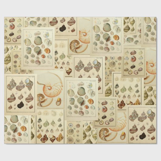 Seashell Wrap voor Ontkoppel of Gift Wrap Cadeaupapier (Vlak)