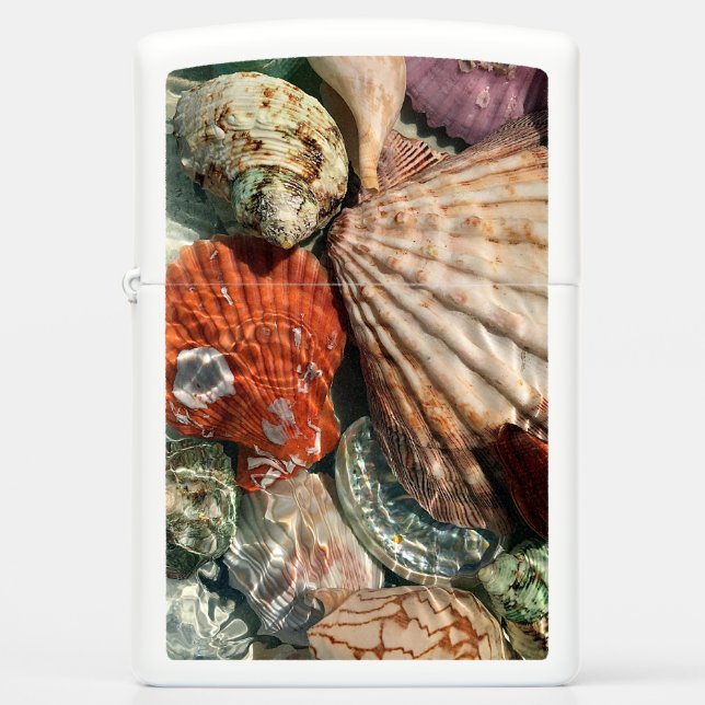 Seashells (Voorkant)