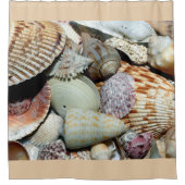 Seashells Beach Ocean Douche rideau (Devant)