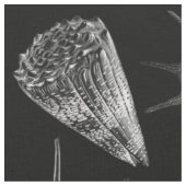  Seashells Black Stof (Close Up)