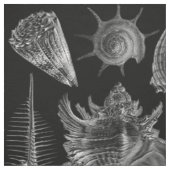  Seashells Black Stof (Swatch)