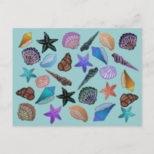 Seashells Briefkaart