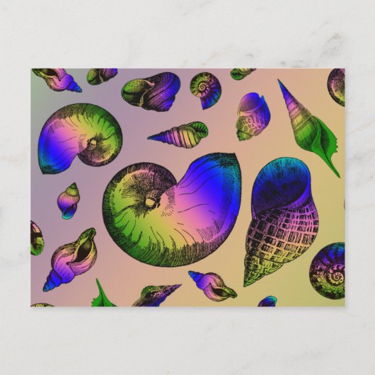 Seashells Briefkaart (Voorkant)