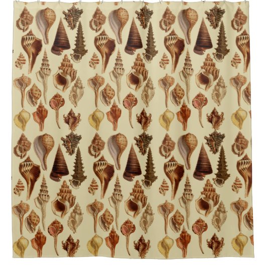Seashells Brown Snails Coastal  Beach House Douchegordijn (Voorkant)