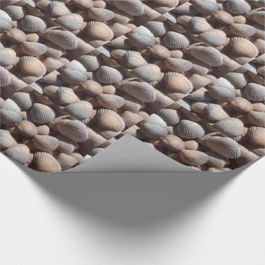 Seashells Cadeaupapier (Hoek)