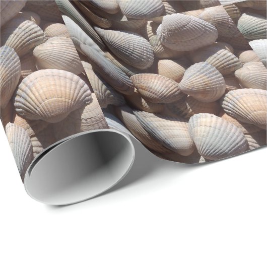 Seashells Cadeaupapier (Rol Hoek)