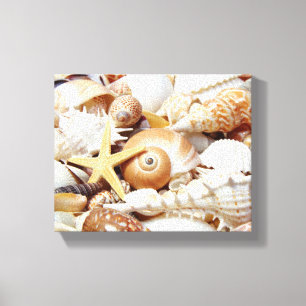 Seashells Canvas Afdruk