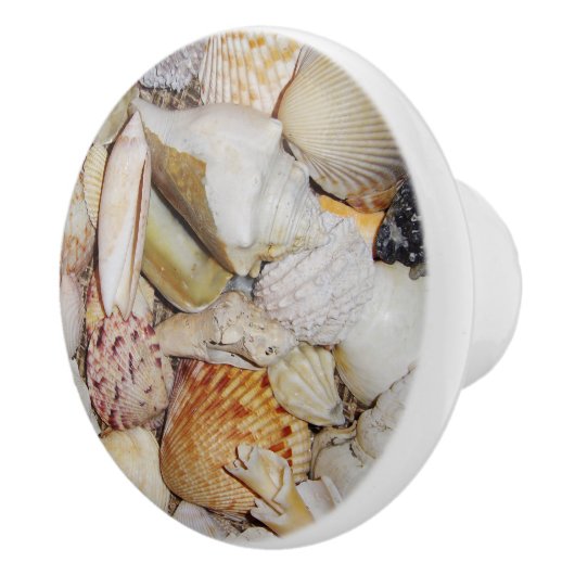 Seashells Drawer Pull Keramische Knop (Rechts)