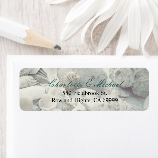 Seashells Etiket (Insitu)