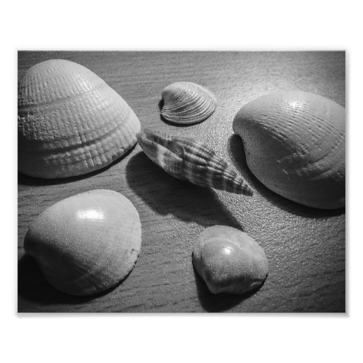 Seashells Foto Afdruk (Voorkant)