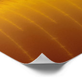 Seashells - Fractal Poster (Hoek)