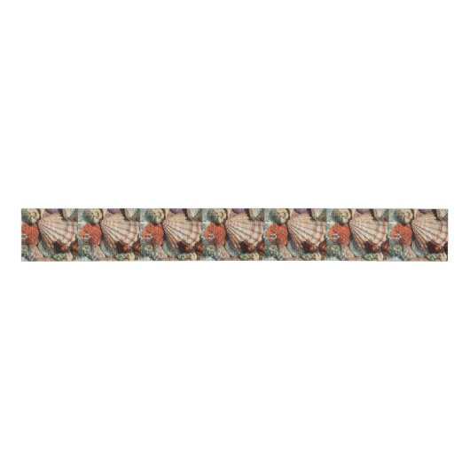 Seashells Grosgrain Lint (Voorkant)