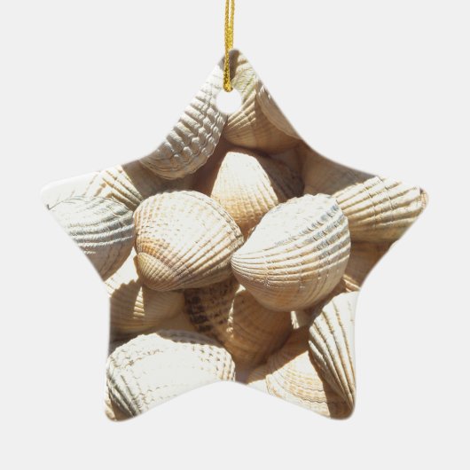 Seashells Keramisch Ornament (Voorkant)