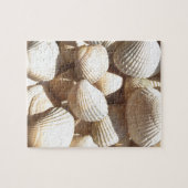 Seashells Legpuzzel (Horizontaal)