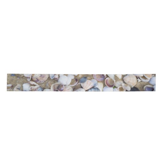 Seashells Lint (Voorkant)