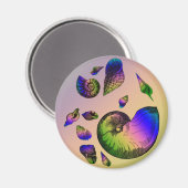 Seashells Magneet (Voorkant / Achterkant)