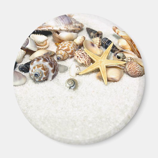 Seashells Magnet Magneet (Voorkant)