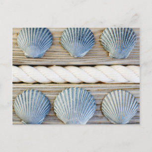 Seashells   New York City Briefkaart