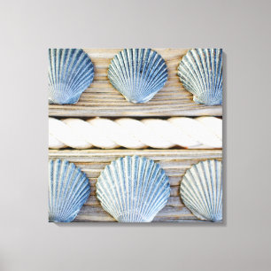 Seashells   New York City Canvas Afdruk
