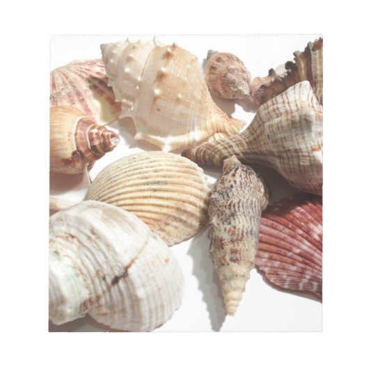 Seashells Notitieblok (Voorkant)