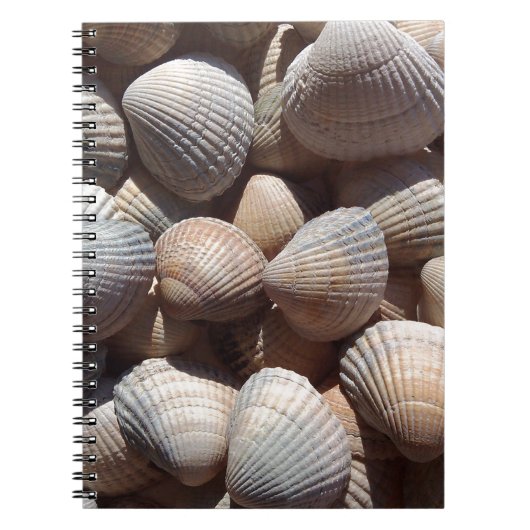 Seashells Notitieboek (Voorkant)