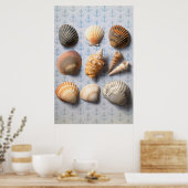 Seashells op ankerachtergrond poster (Keuken)