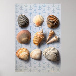 Seashells op ankerachtergrond poster