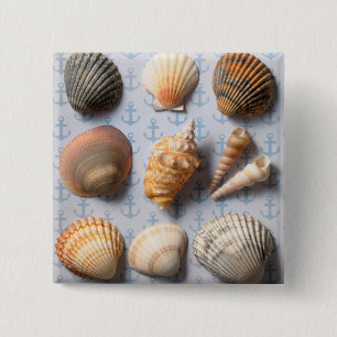 Seashells op ankerachtergrond vierkante button 5,1 cm