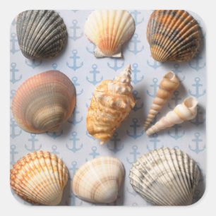 Seashells op ankerachtergrond vierkante sticker