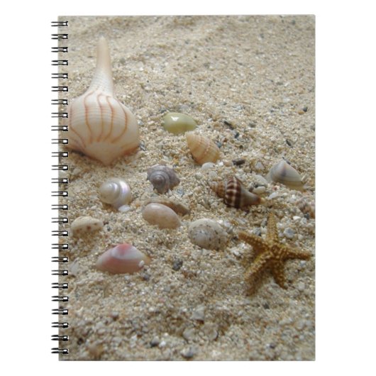 Seashells op Beach Sand Writing Journal Notitieboek (Voorkant)