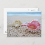 Seashells op het strand Briefkaart (Voorkant / Achterkant)