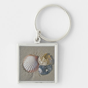 Seashells op het strand Visitekaartje Sleutelhanger