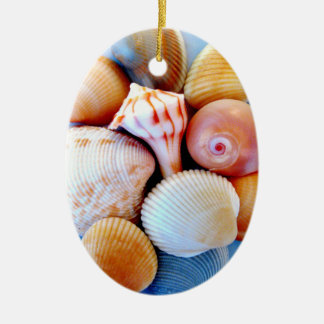 Seashells Ornament