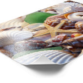 Seashells Photo Prints Foto Afdruk (Hoek)