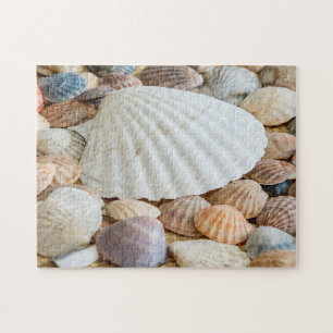 Seashells Photo Puzzle Legpuzzel