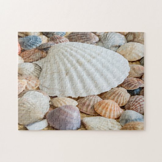Seashells Photo Puzzle Legpuzzel (Horizontaal)