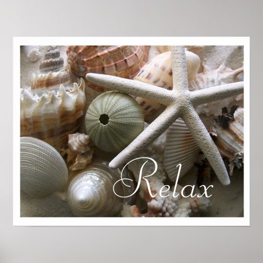 Seashells Print (Voorkant)