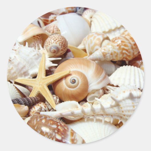 Seashells Ronde Sticker (Voorkant)