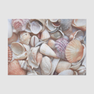 Seashells Sketch Ocean Nautical Beach Tissuepapier