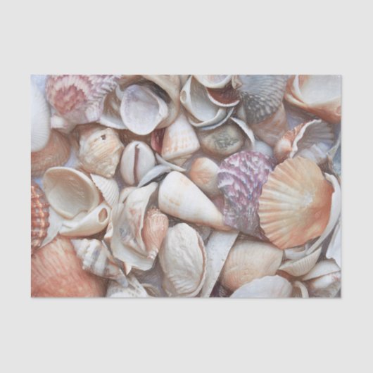 Seashells Sketch Ocean Nautical Beach Tissuepapier (Voorkant)
