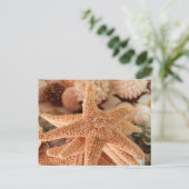 Seashells te koop Zihuatanejo, Mexico Briefkaart (Staand voorkant)