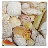Seashells Tile Tegeltje (Voorkant)