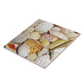 Seashells Tile Tegeltje (Zijkant)