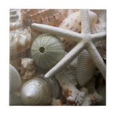 Seashells Tile Tegeltje (Voorkant)